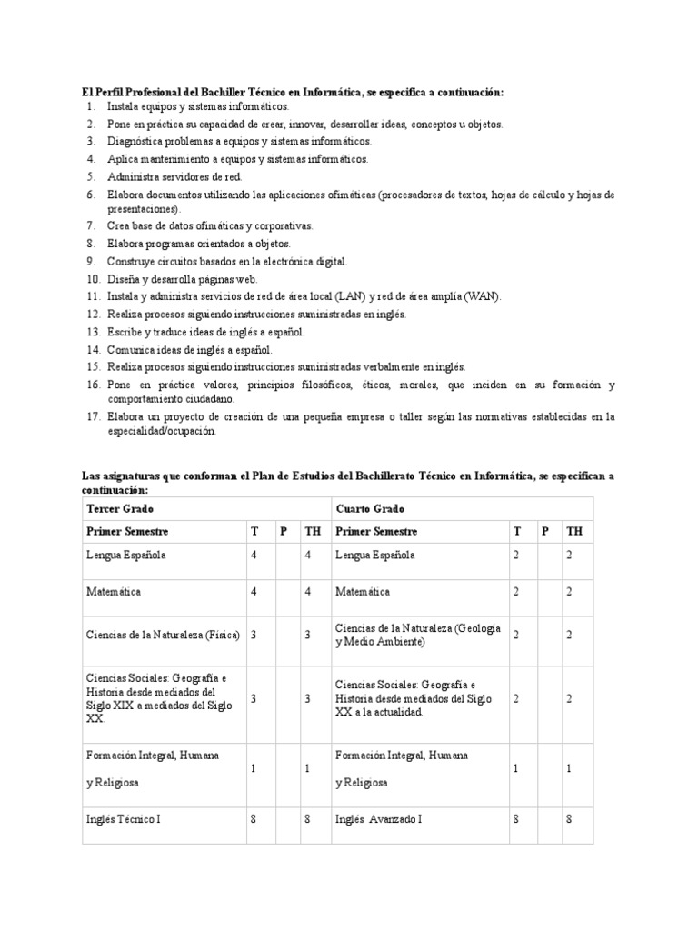 El Perfil Profesional Del Bachiller Técnico en Informática | PDF ...