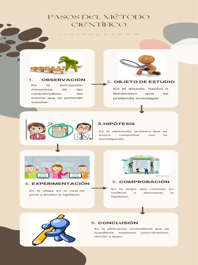 Infografía de Proceso Proyecto en Papel Resaltado Blanco | PDF