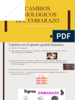 Cambios Fisiologicos Del Embarazo