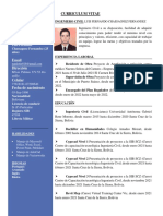 Curriculum Vitaer Ing Fernando Chassagnez 1