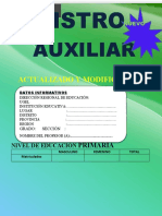 Registro Auxiliar