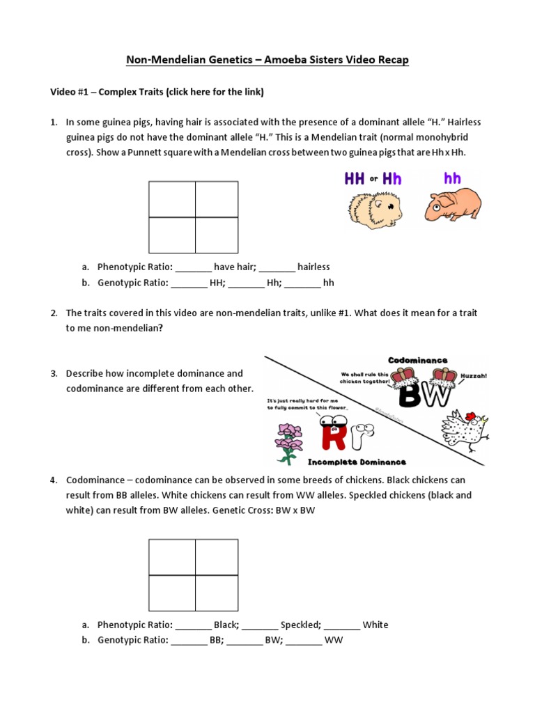Non-Mendelian Genetics Video Recap-1 | PDF | Dominance (Genetics ...