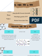 Principios Del Desarrollo Humano