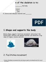 the skeletal system - student copy  3 