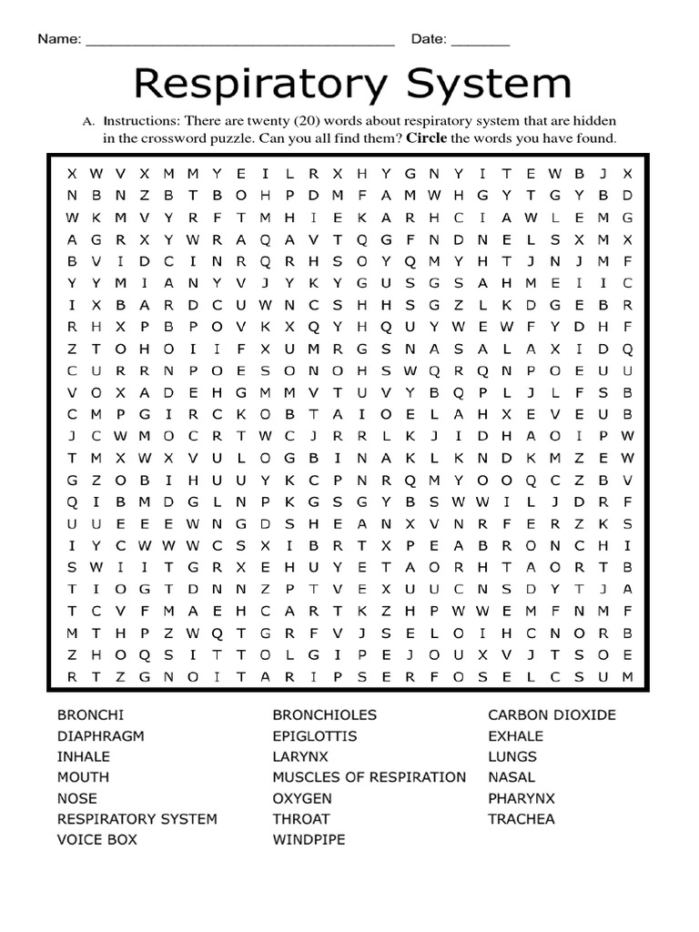 Respiratory System Crossword Puzzle Guide | PDF | Language Arts ...