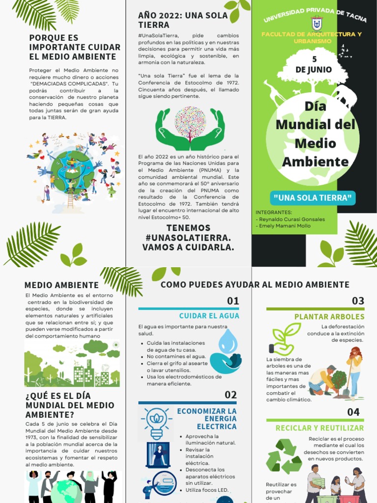 TRIPTICO DEL Día Del Medio Ambiente | PDF | Entorno natural | Programa ...