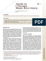 Clinician's Guide to Nutritional Therapy for Burn Injury