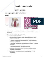 Reproduction in Mammals