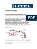 Desarrollo Embrionario