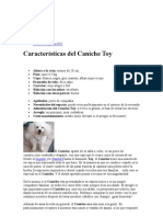 Caniche Toy