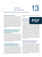 Cadena respiratoria y fosforilación oxidativa acoplan transferencia de electrones y bombeo de protones