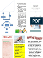 LEAFLET GERIATRI PDF New