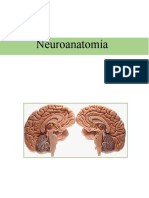 Resumen Neuroanatomia