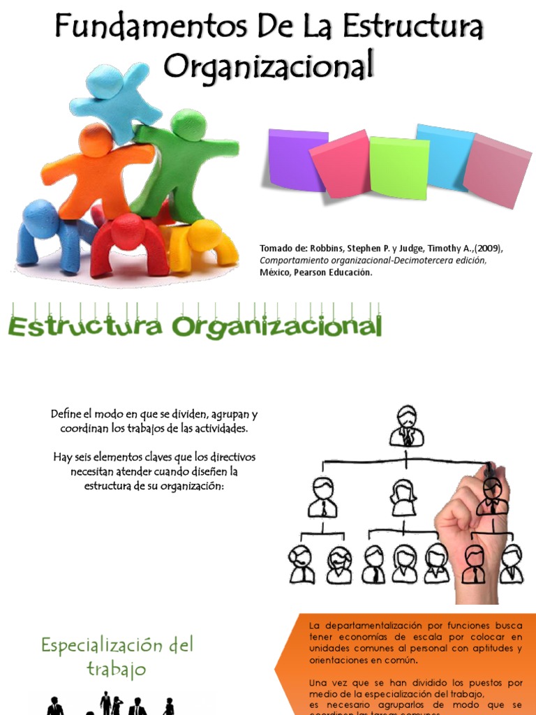 Fundamentos de Estructura Organizacional | PDF