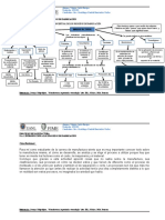 Mapa Conceptual