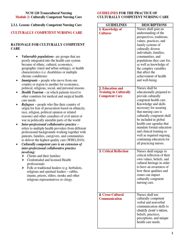 Culturally Competent Nursing Guidelines | PDF | Nursing | Hearing Loss