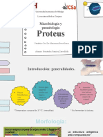 Infecciones urinarias Proteus: generalidades, patogenicidad, diagnóstico y tratamiento