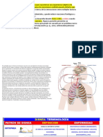 Tos-Disnea-Dolor Pleuritico