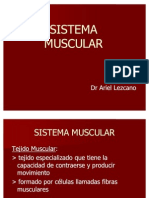 Sistema Muscular.ari.07