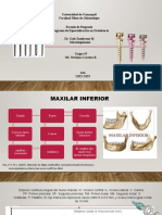 Microimplantes Vero