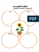 Plants Worksheet