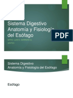 0 SD 04 Anatomía Del Esófago