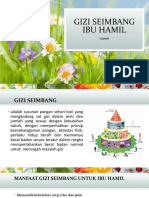 Gizi Seimbang Ibu Hamil