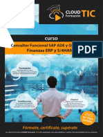 Consultor SAP Finanzas ERP y S-4HANA