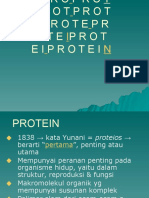 PROTEIN