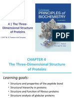 Lehninger_Ch4_Proteins