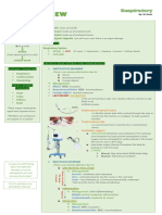 Overview of Pathophysiology of Hypoxemia and Hypoxia