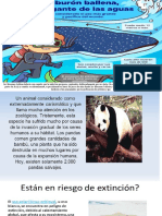 Animales en Peligro de Extincion