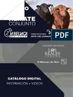 4TO REMATE EN CONJUNTO - CATALOGO DIGITAL