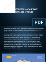 The Oxygen - Carbon Dioxide Cycle