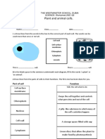 Yr7 - Plant and Animal Cells Worksheet