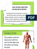 PF1 anatomy