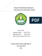 Makalah Biologi Dan Mikrobiologi Lingkungan