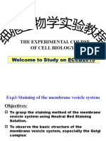 Cell Biology Lab-3