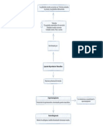 Histología-Fundamentos Del Aparato Reproductor Masculino - Drawio