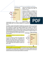 Potenciales de Membrana Resumen 1