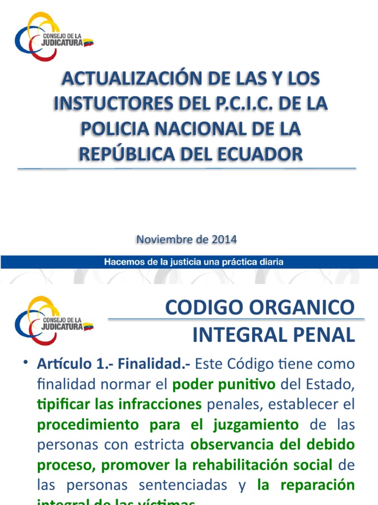 Presentacion Coip PN | PDF | Derecho penal | Castigos