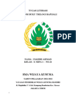 Resensi Buku Rapijali