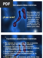 Download bacterias anaerobias estrictas by Keren Sarmiento SN59257229 doc pdf