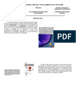 Del Rna A Las Proteã Nas. Lect de Apoyo1