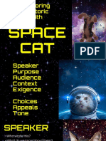 SPACE CAT Intro Notes