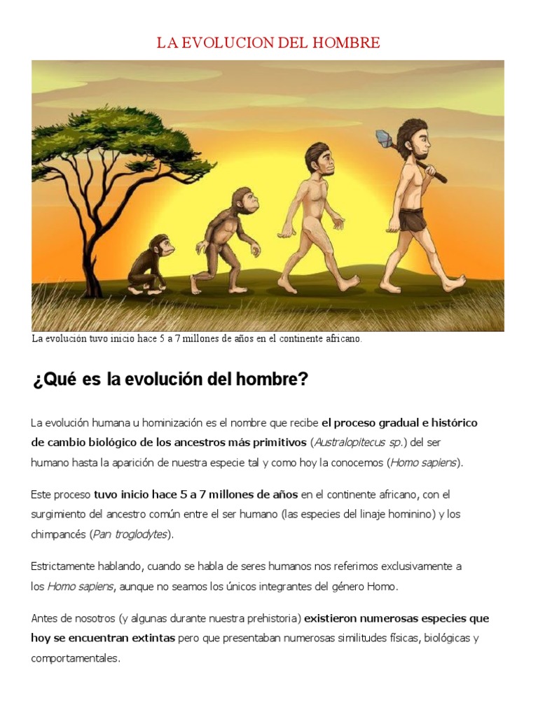 La Evolucion Del Hombre | PDF | Homo | Evolución humana