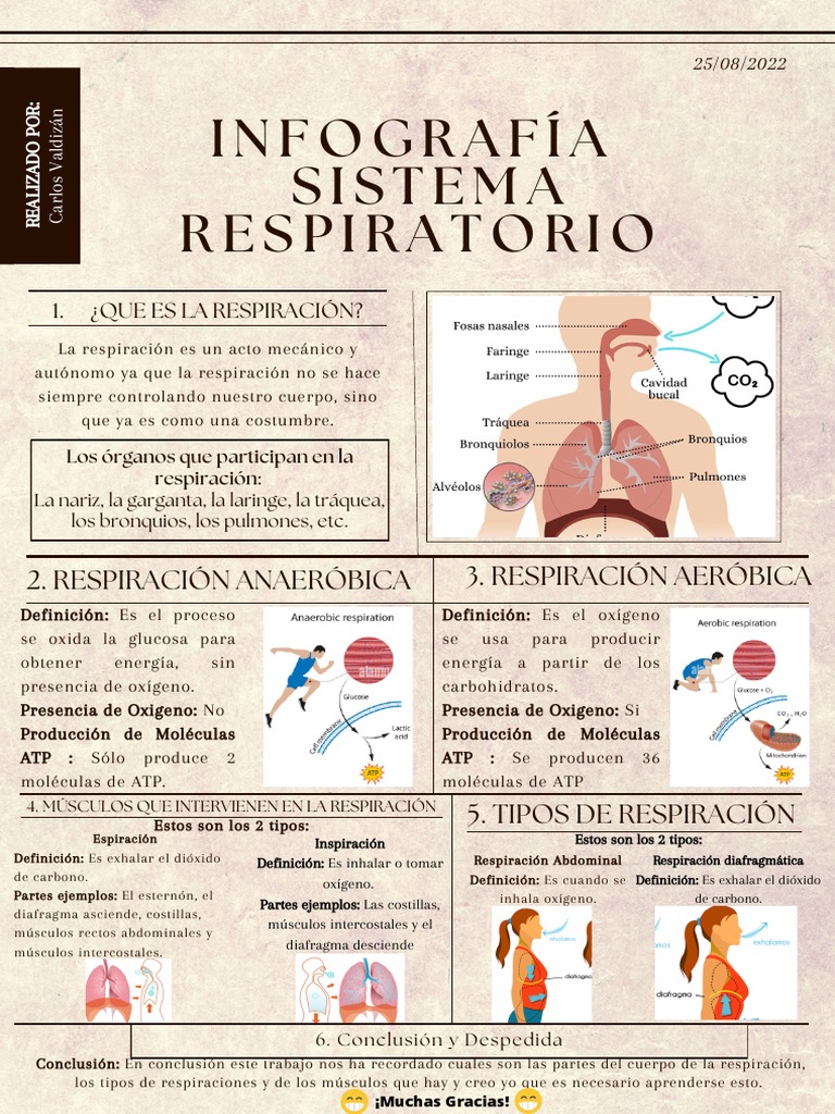 10 Enfermedades Del Sistema Respiratorio