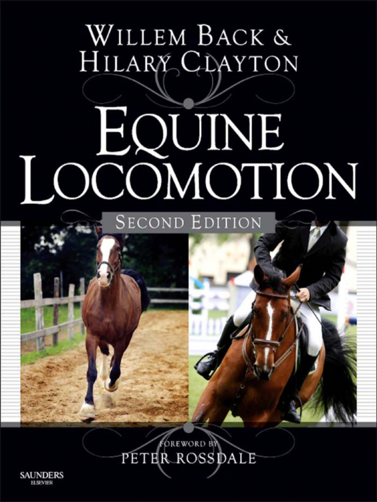 Equine Locomotion, 2nd Edition | PDF | Horse Gait | Horses