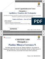 Ft-sst-020 Constancia de Capacitacion