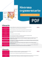 Sistema Tegumentario